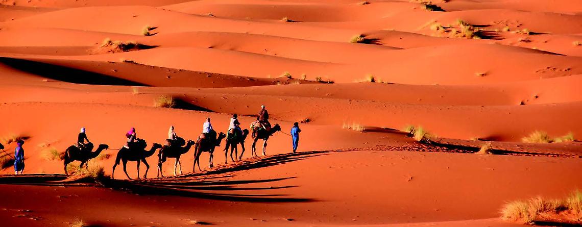 sahara