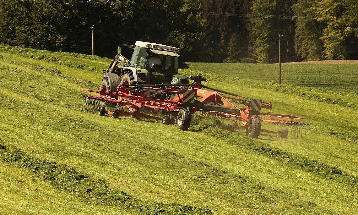 Agricoltura 