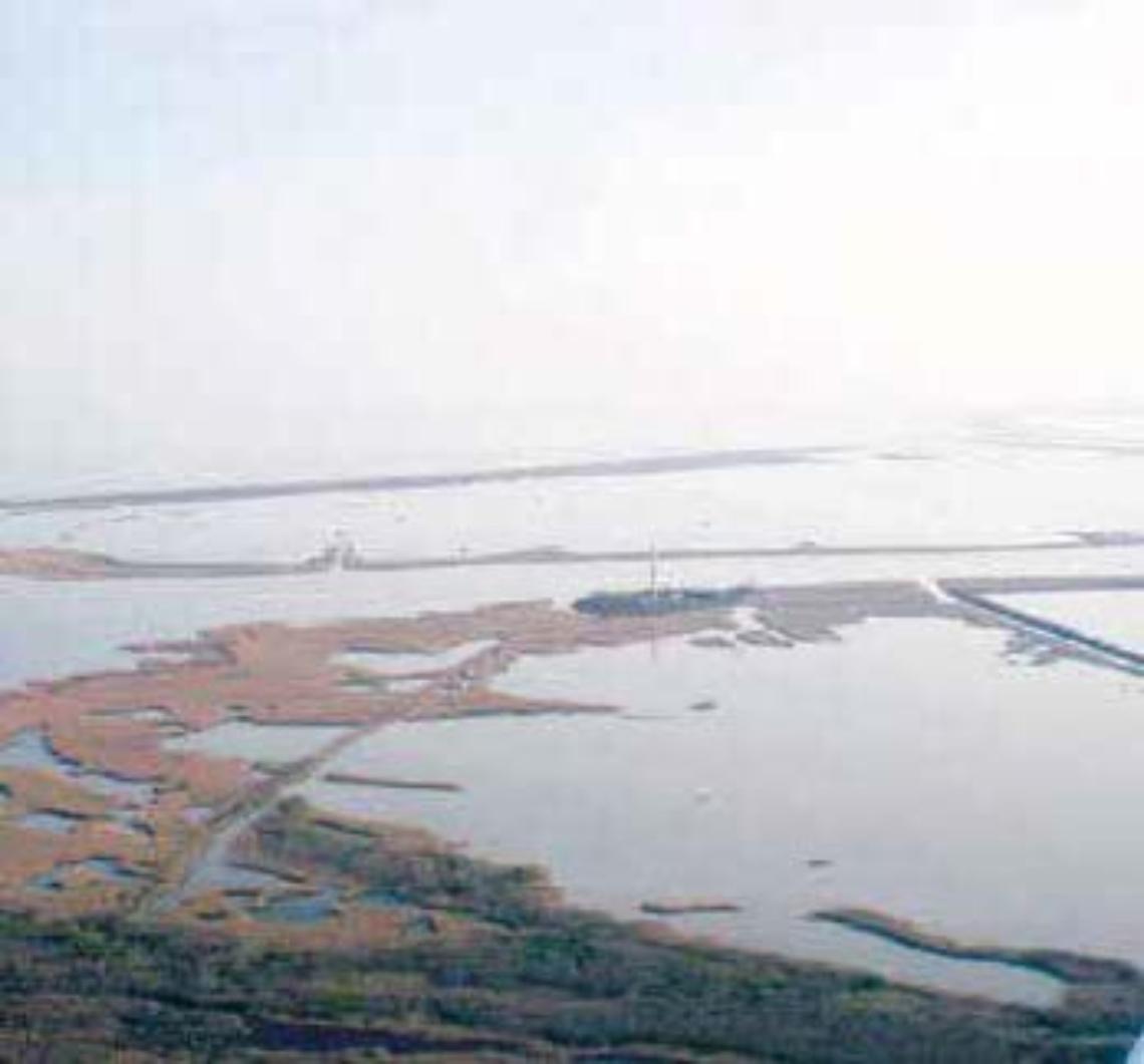 porto tolle