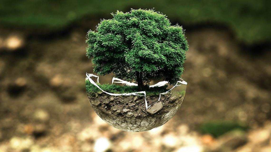 eco friendly