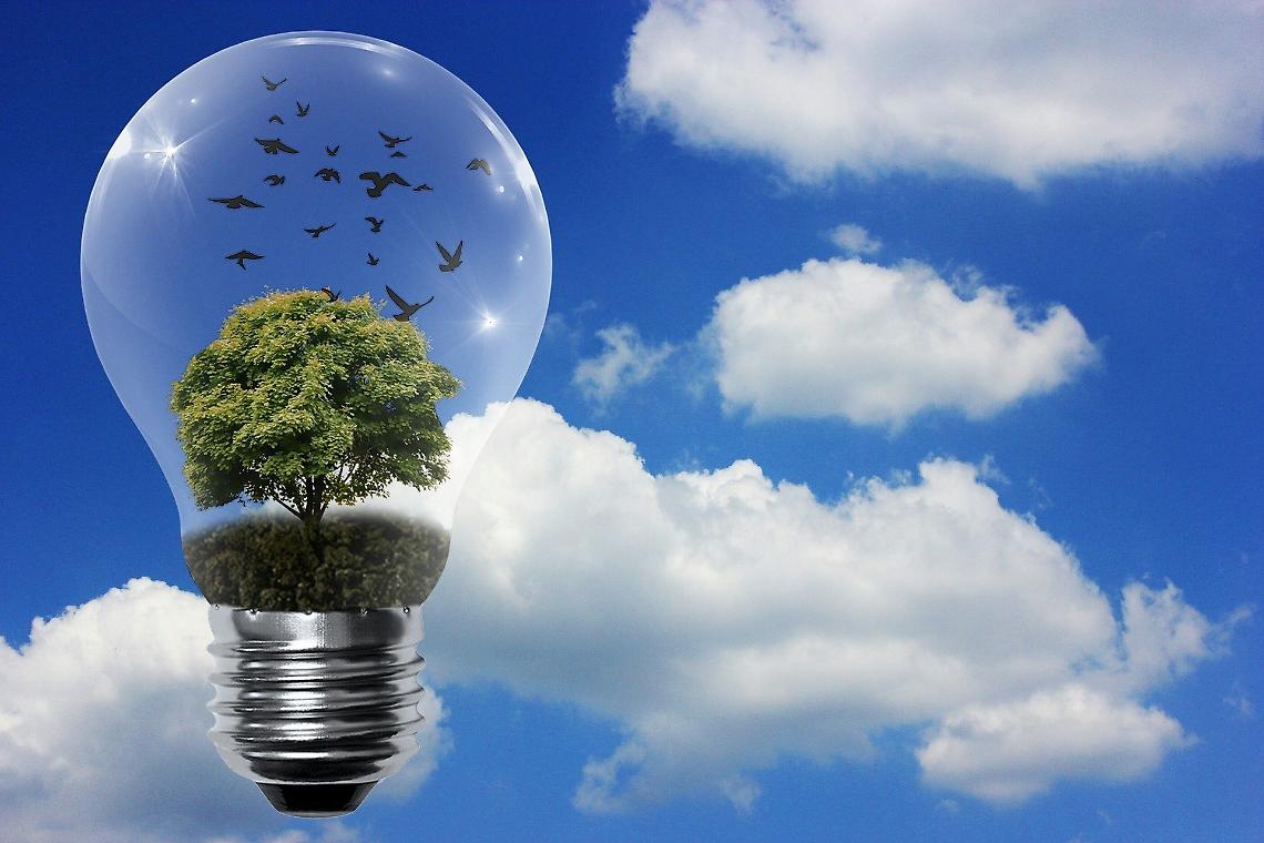 Energia verde e innovazione: al via il restyling sostenibile del Centro Agroalimentare di Pescara
