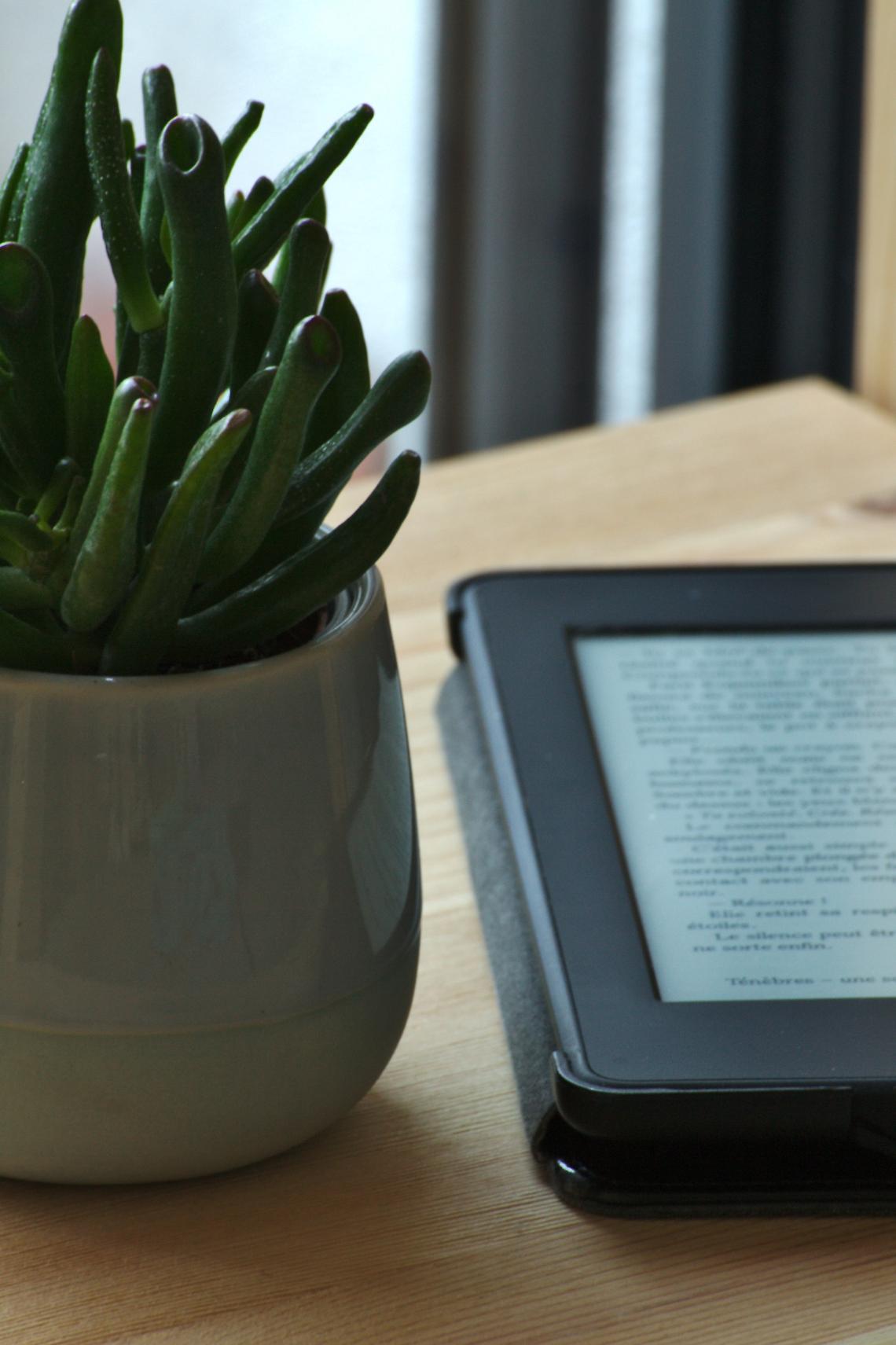 e book