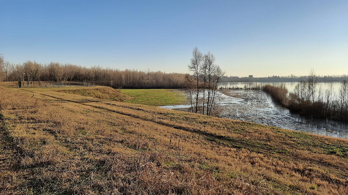 savec campo pozzi Camazzole 3