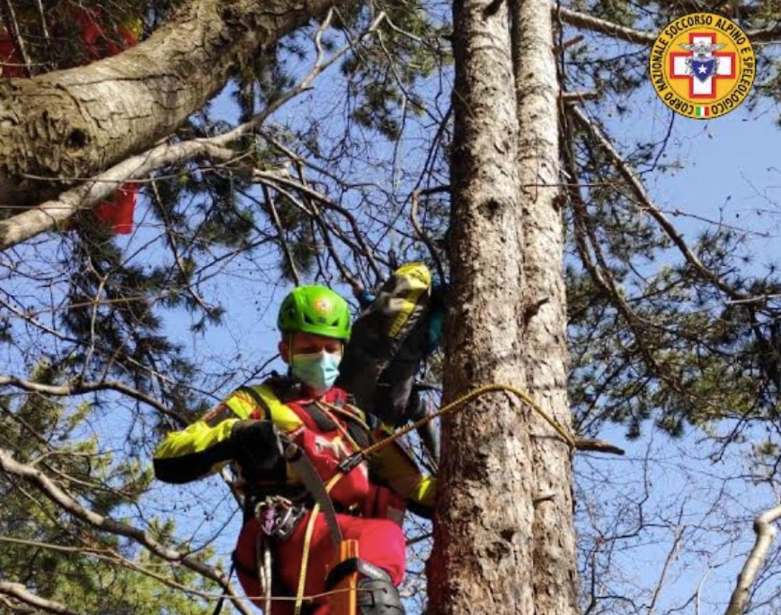 soccorritore sugli alberi del Grappa per soccorrere pilota parapendio