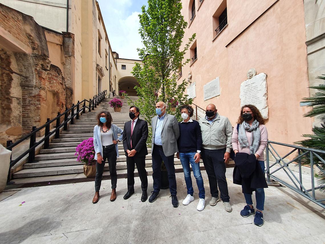 Padova, 20 mila alberi per la città, Giordani: «Promessa mantenuta»