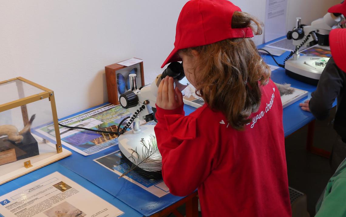 “JGames” prende vita al JMuseo: a Jesolo arriva la sfida interattiva per tutta la famiglia