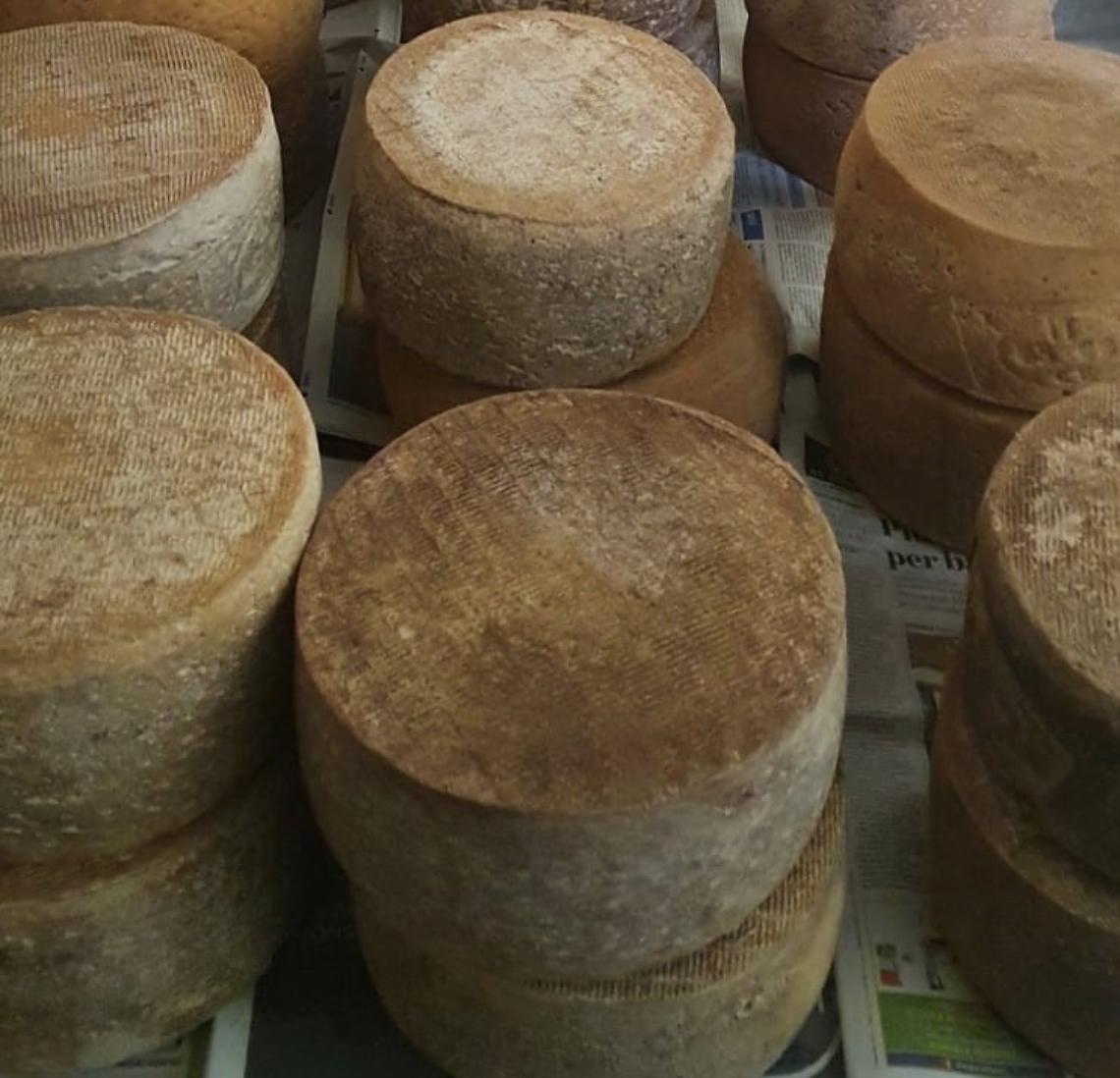 forme di formaggio rubate e recuperate dai carabinieri