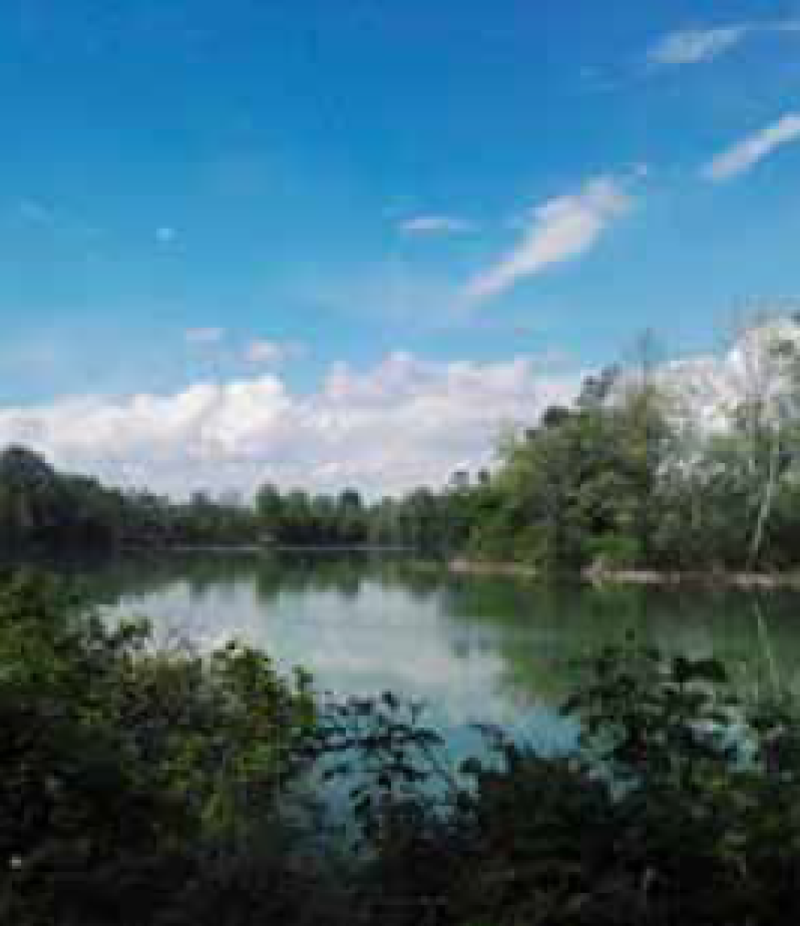 parco laghetti martellago