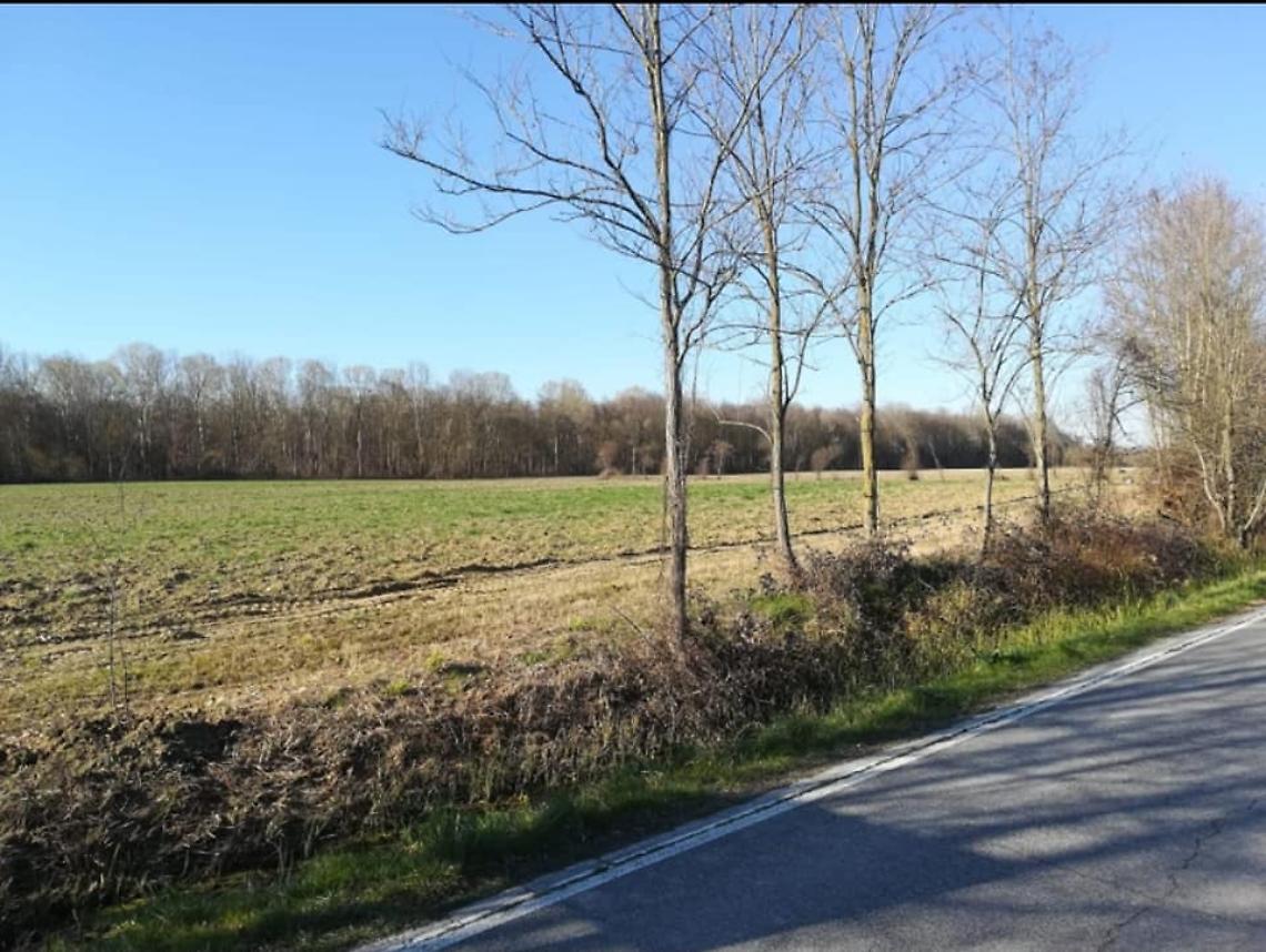 terreni Mariutto dove ampliare Bosco