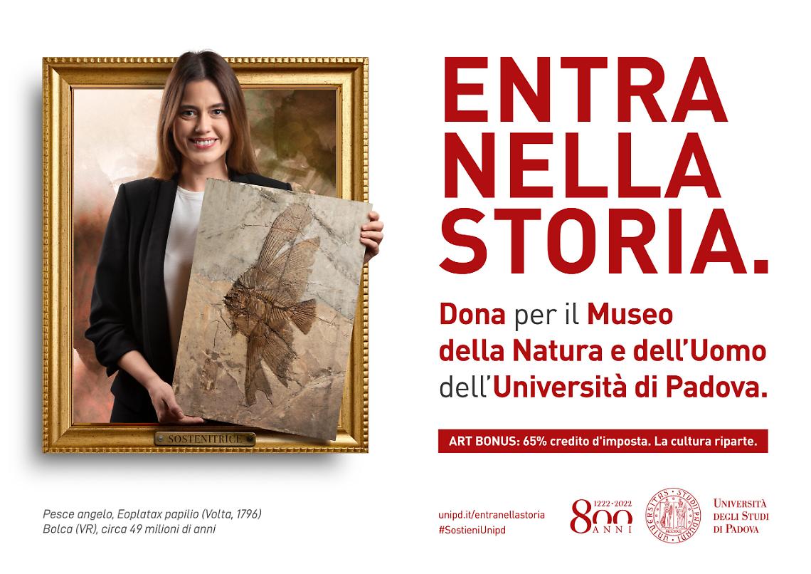 entra nella storia