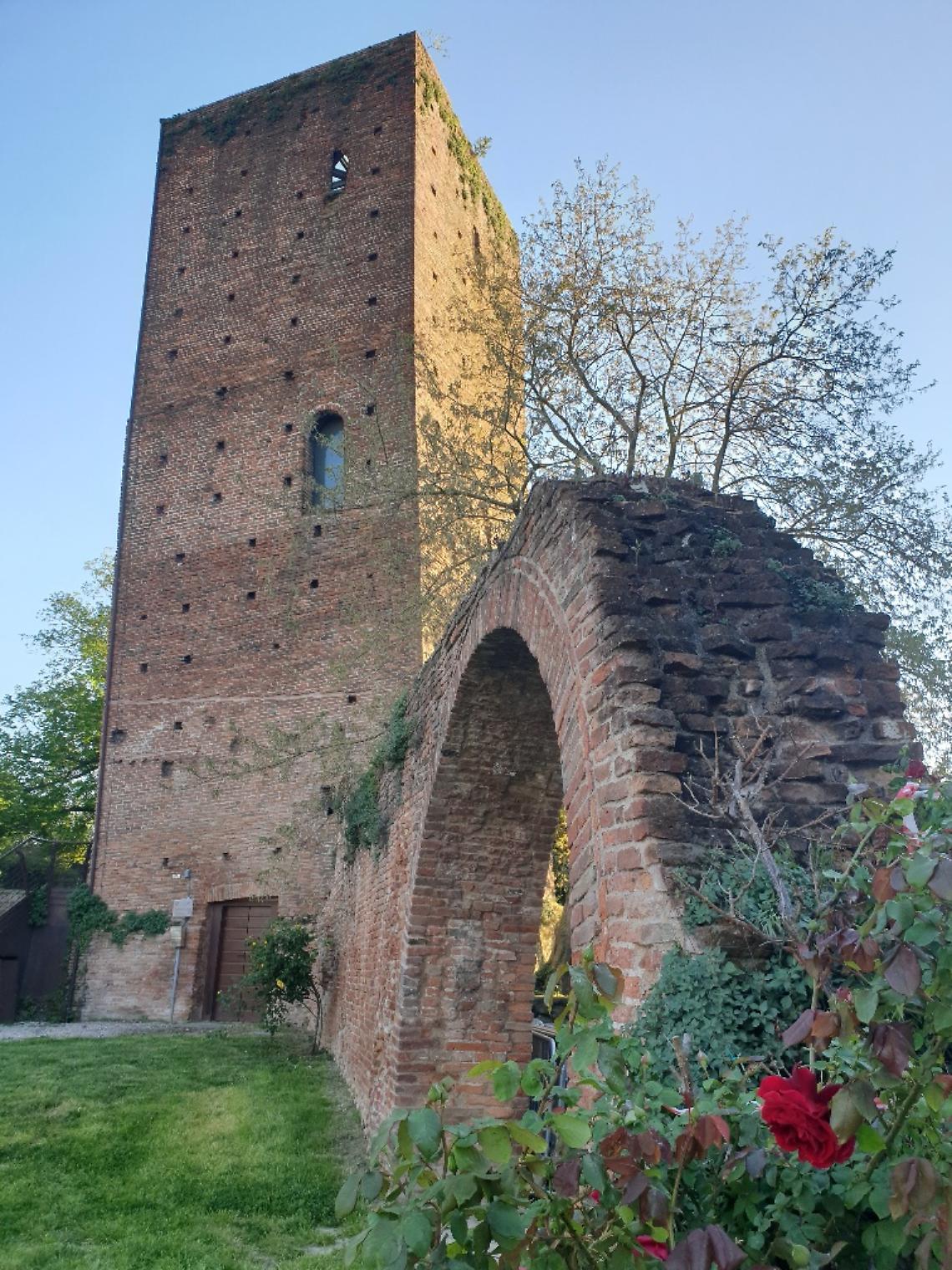 rovigo maggio rodigino