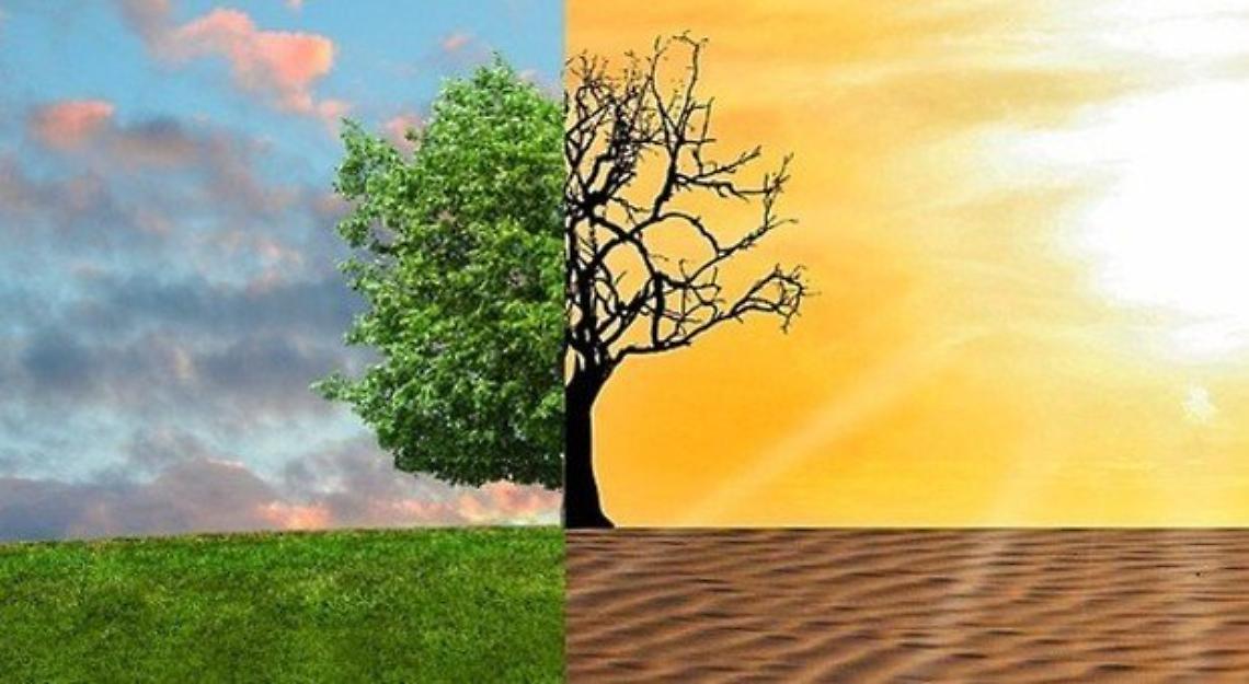 Cambiamenti climatici