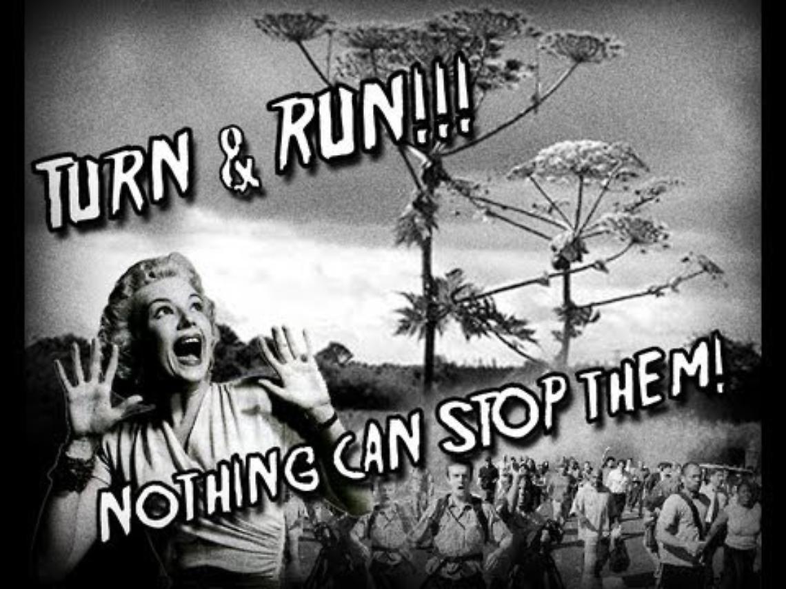 Turn and run