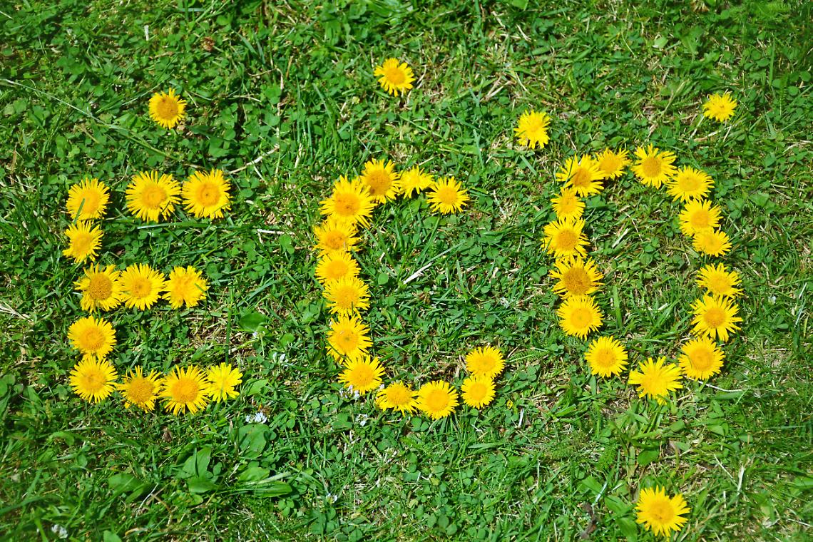 energia green ambiente ecologia