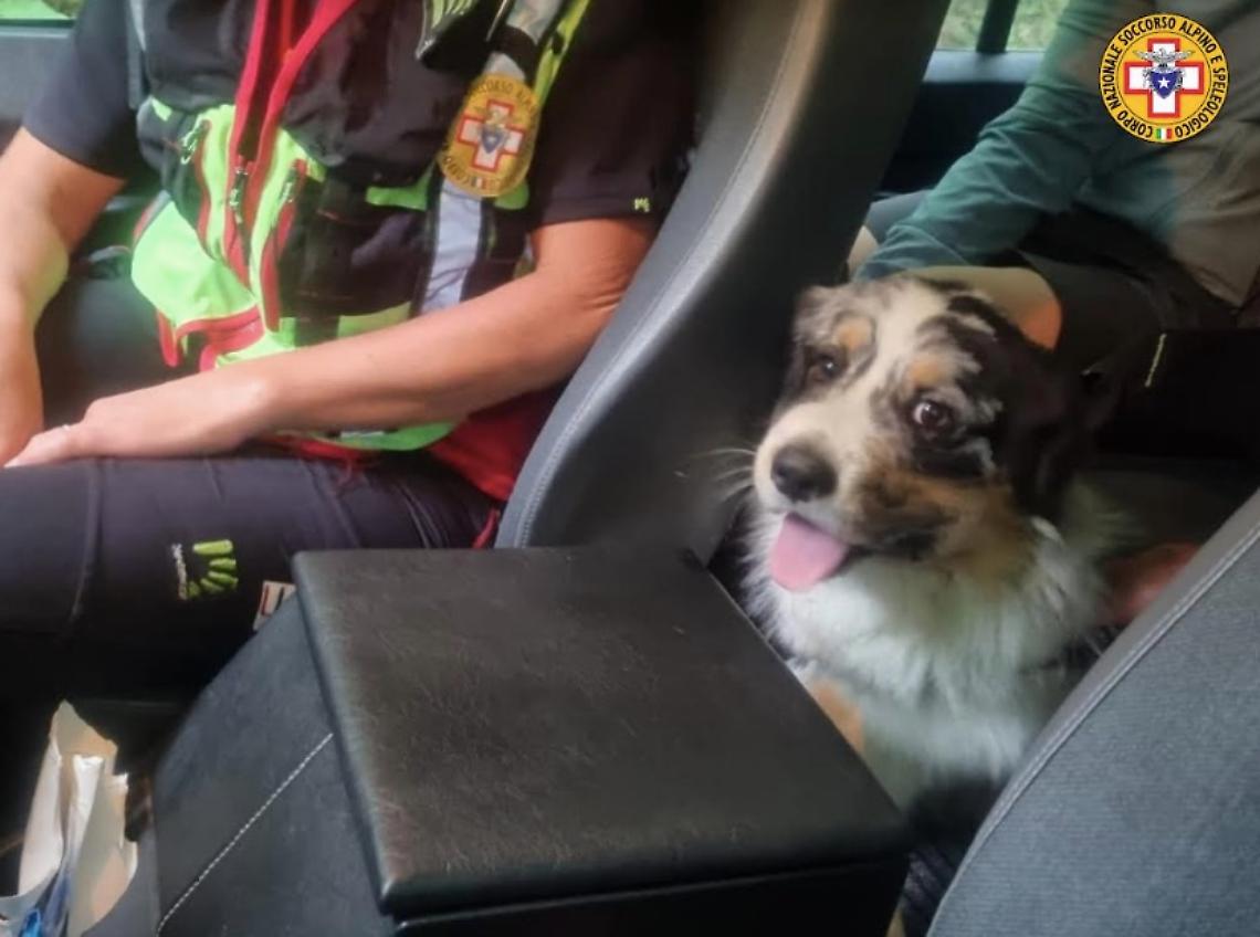 recuperata coppia in difficoltà con cagnolino