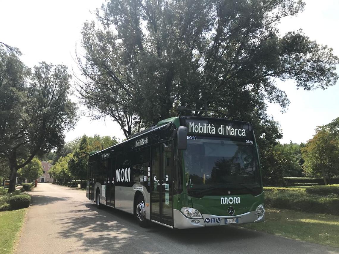 Trasporto pubblico, dal 7 gennaio cambiano linee e orari a Vittorio Veneto