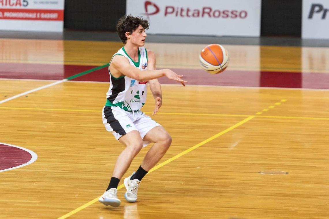 Niccolò Pellicano