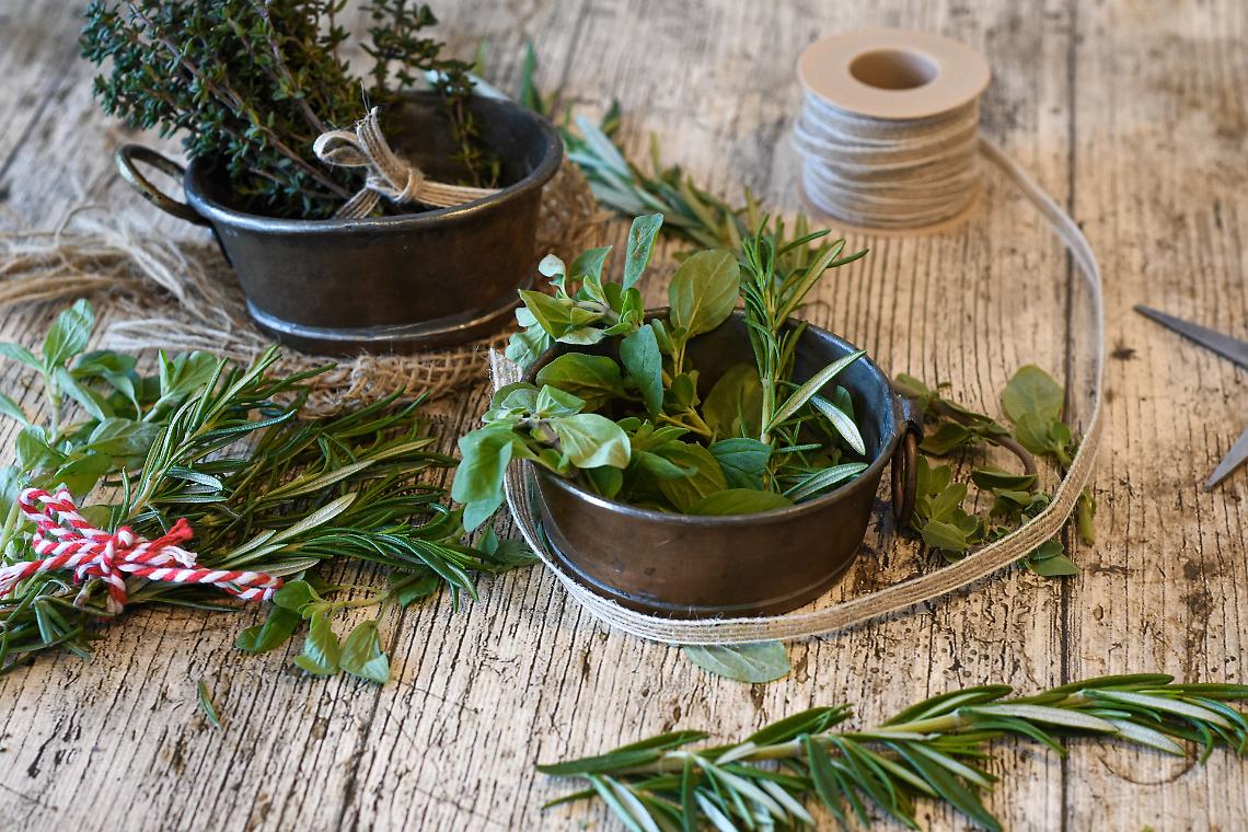 erbe aromatiche