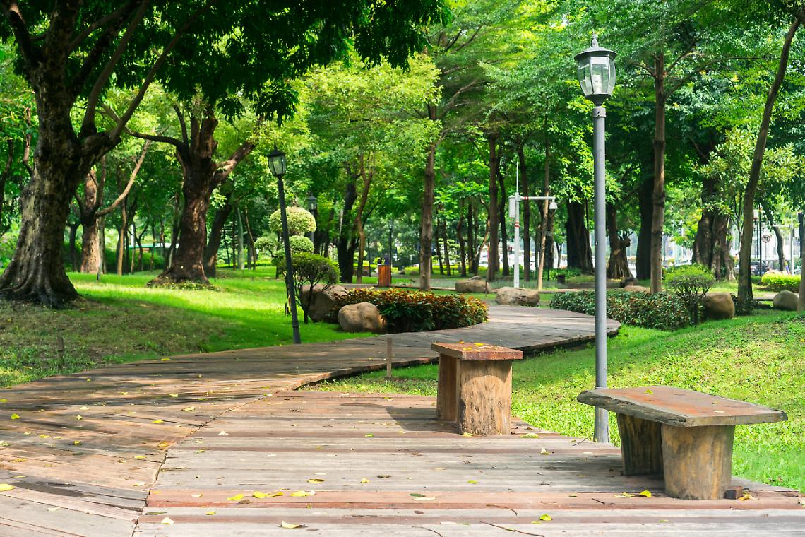Albignasego ridisegna il futuro: al via il nuovo parco urbano nel cuore di Lion