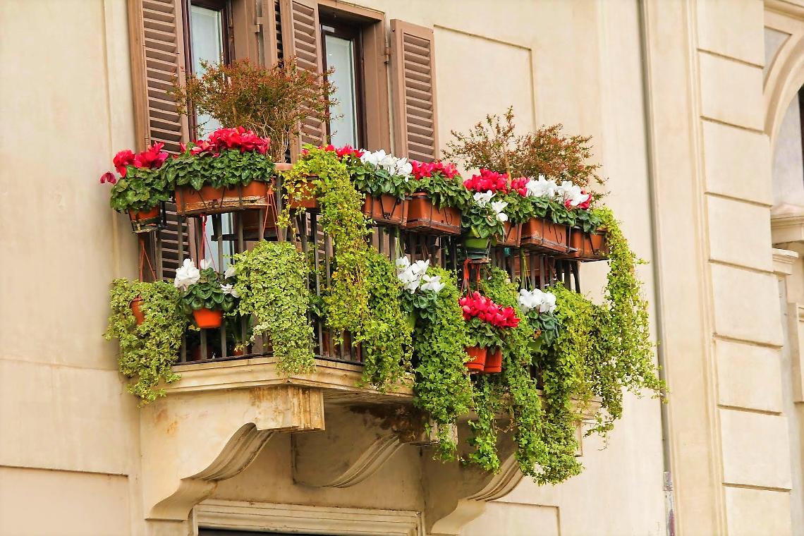 balcone fiori