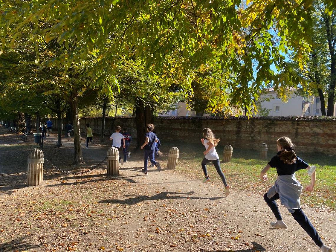 Csi parco querini