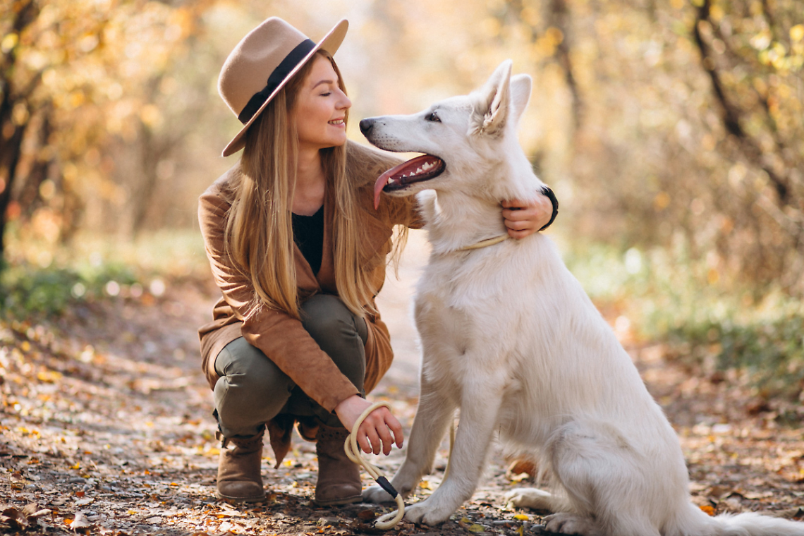 Alexa presenta CalmaZampa: la nuova skill per tranquillizzare gli animali spaventati dai temporali