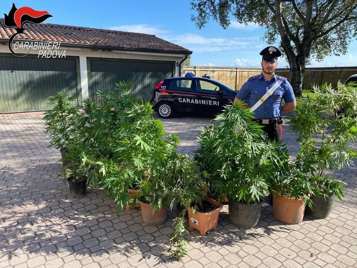carabinieri