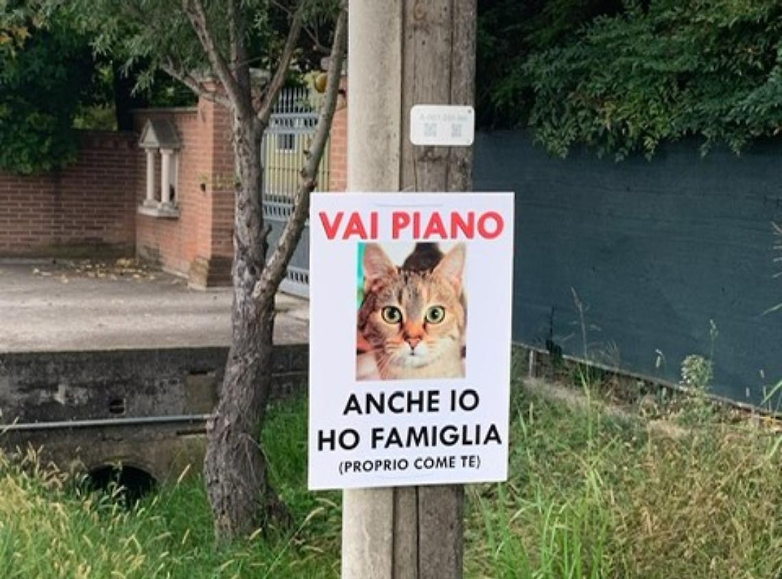 gattini montegrotto