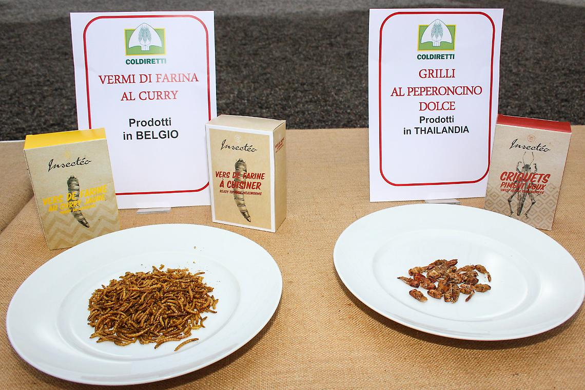 Insetti a tavola