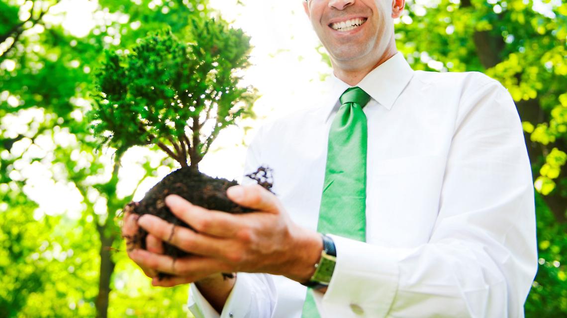 piantumazione albero