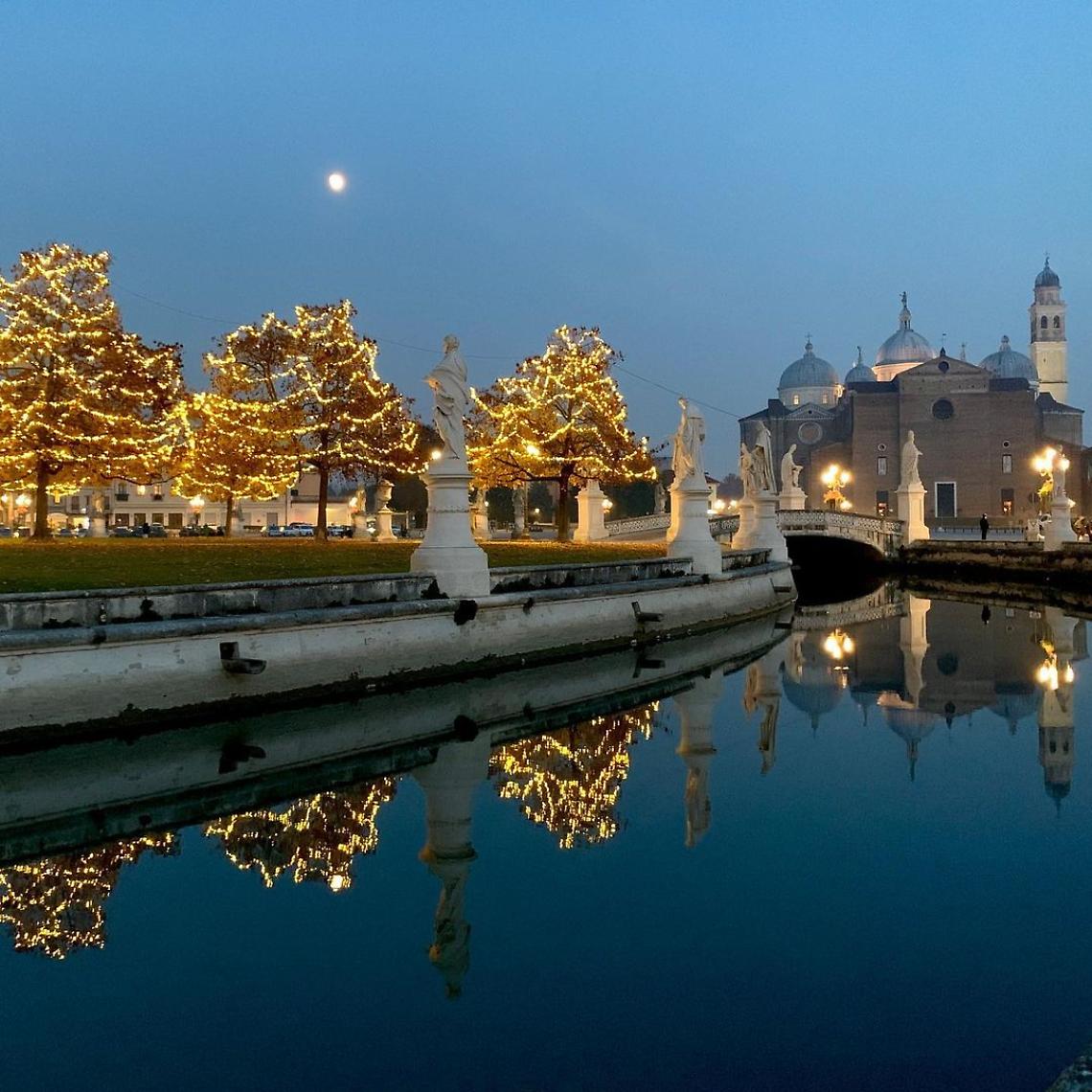 Padova accende il Natale: l’albero di Palazzo Moroni illuminato da musica, luci e Alexia