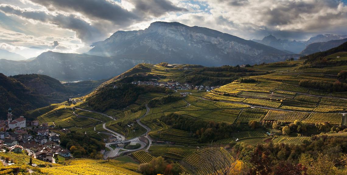panorama-val-di-cembra CARTOLINA