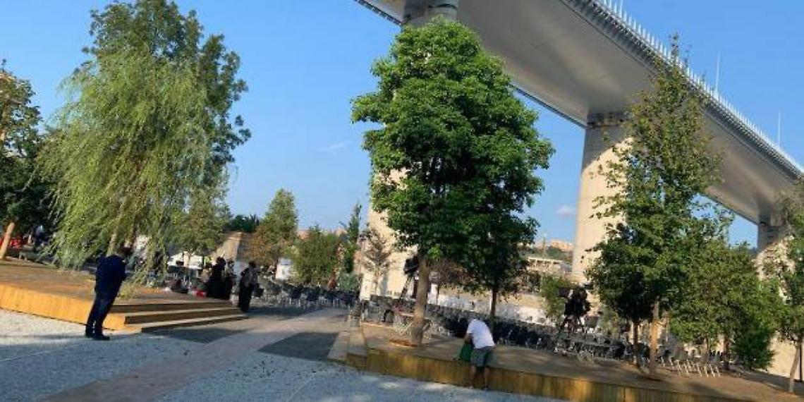 Genova abeti ponte Morandi