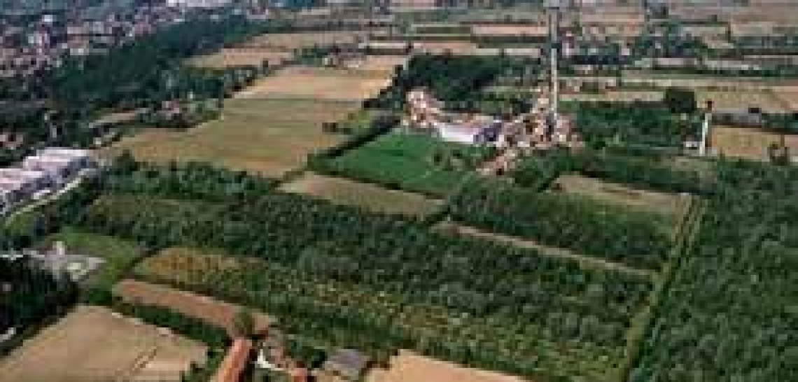 bosco del parauro
