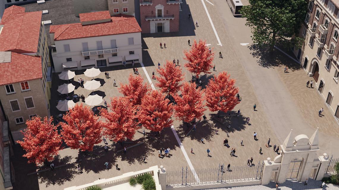 Campo Marzo piazzale de Gasperi progetto alberi