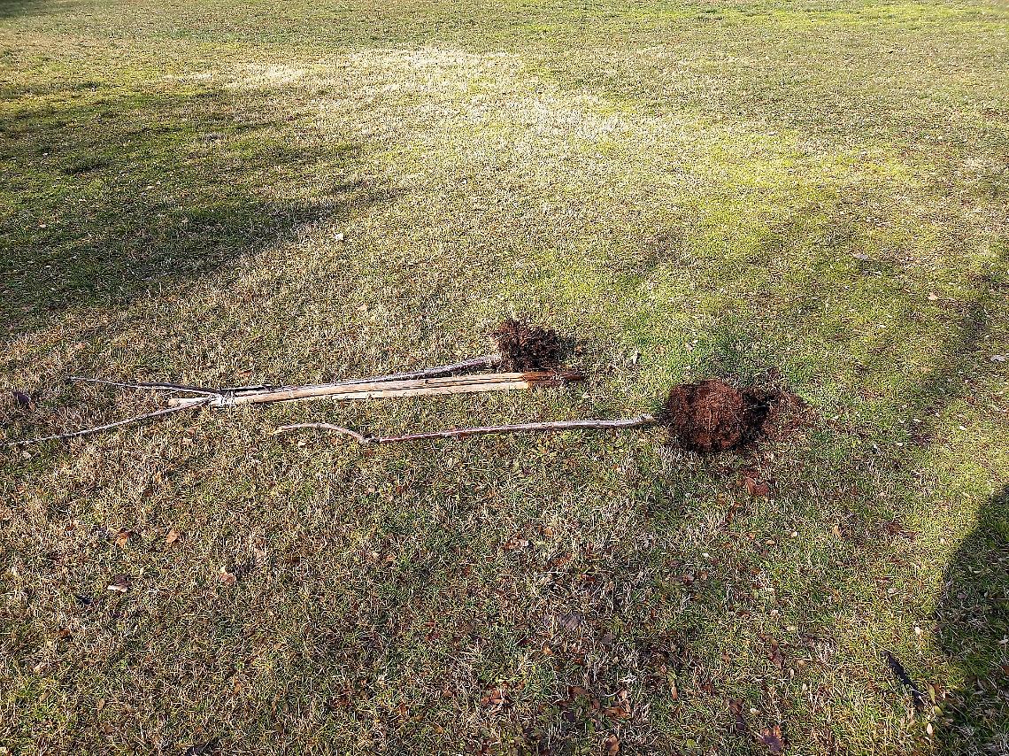 Parco fornaci ciliegi sradicati