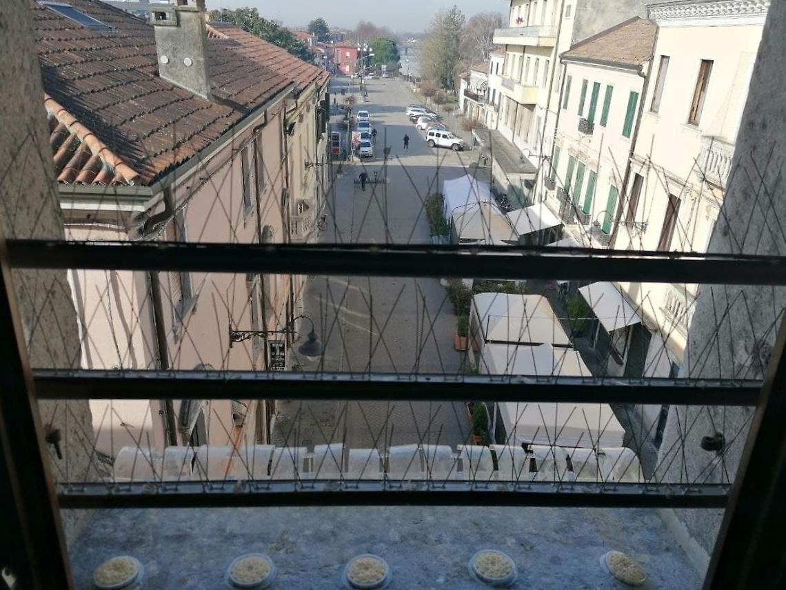 dissuasoriperpiccionipalazzotassoni