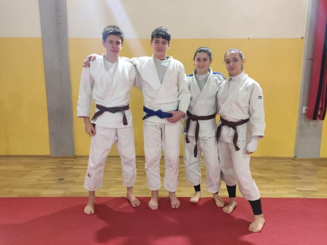 judo treviso