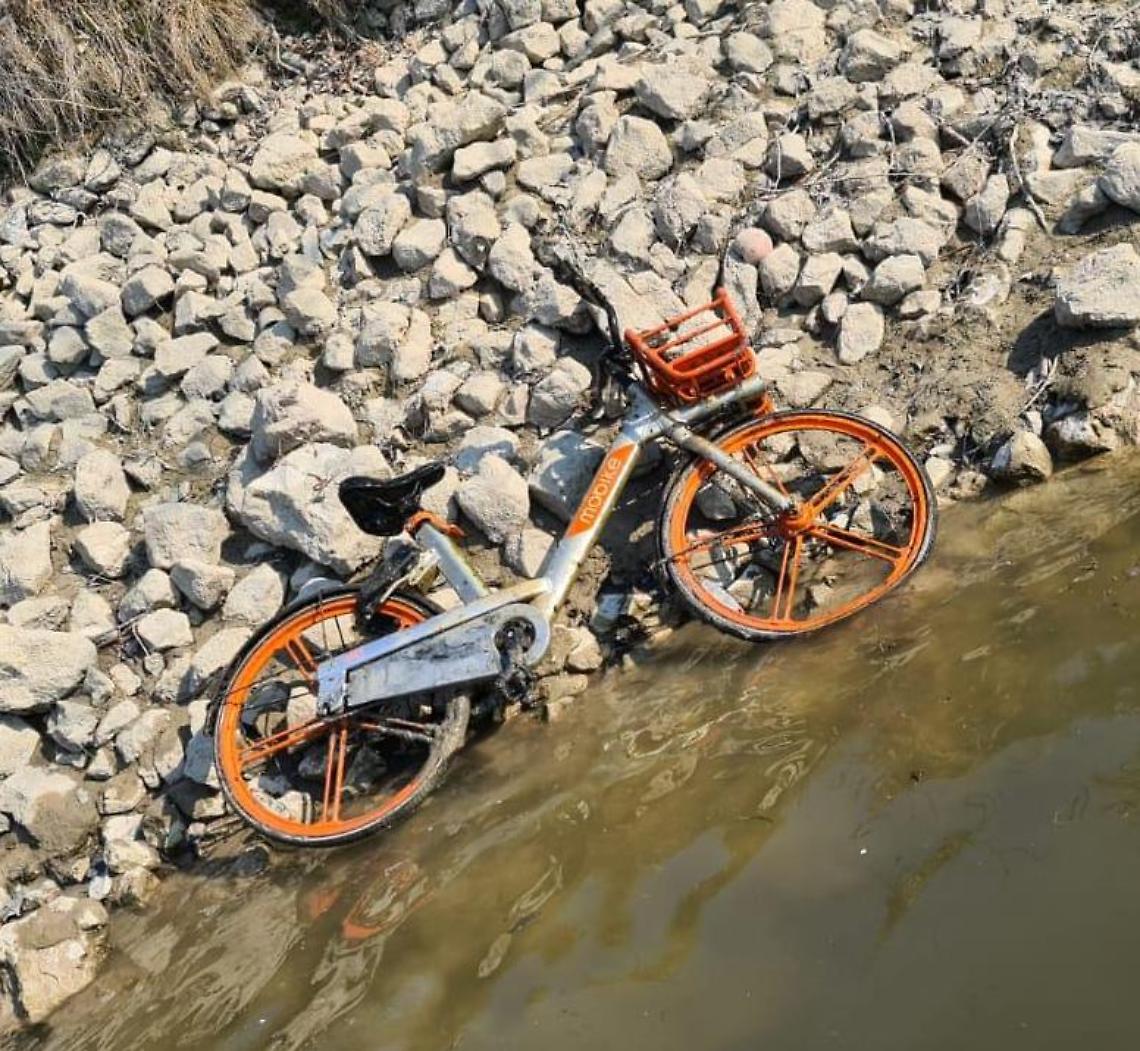 bici abbandonate