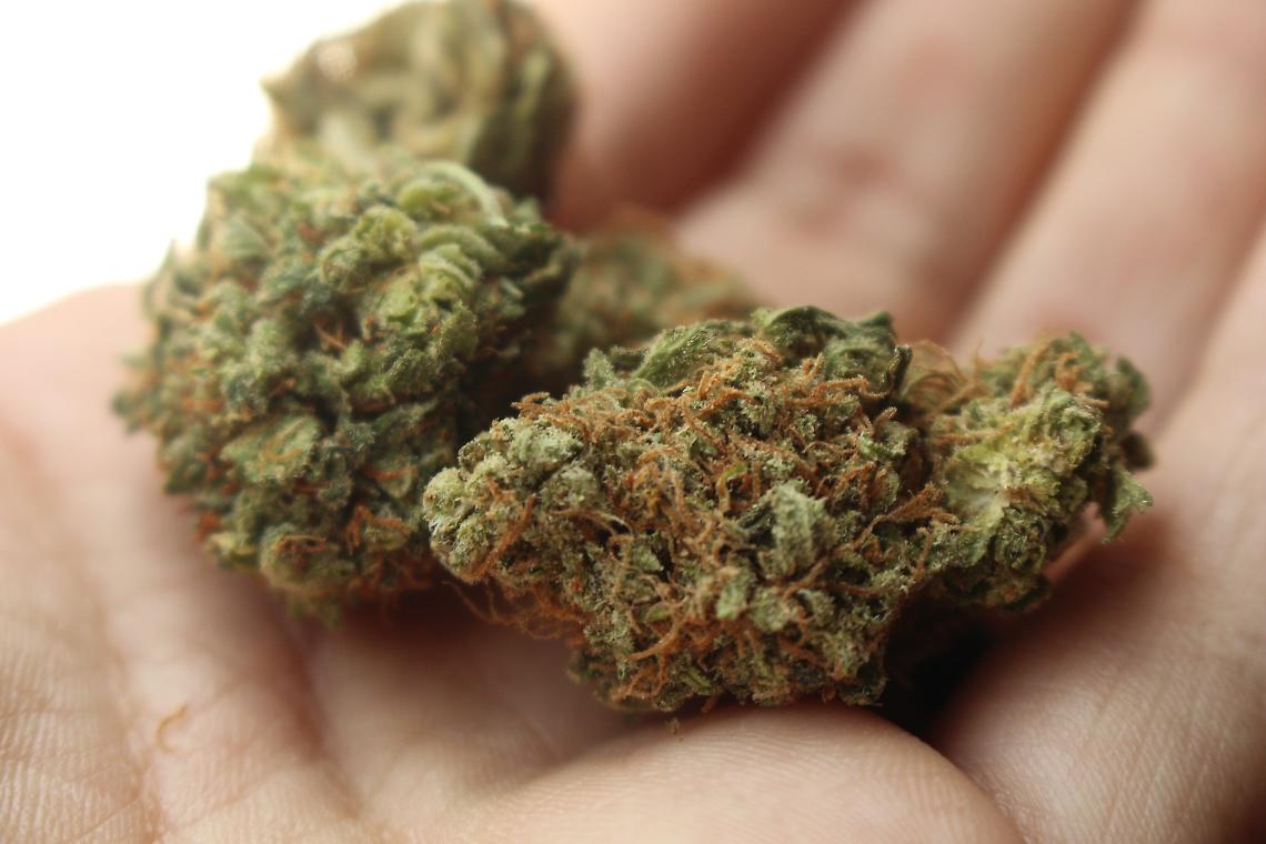 marijuana 01