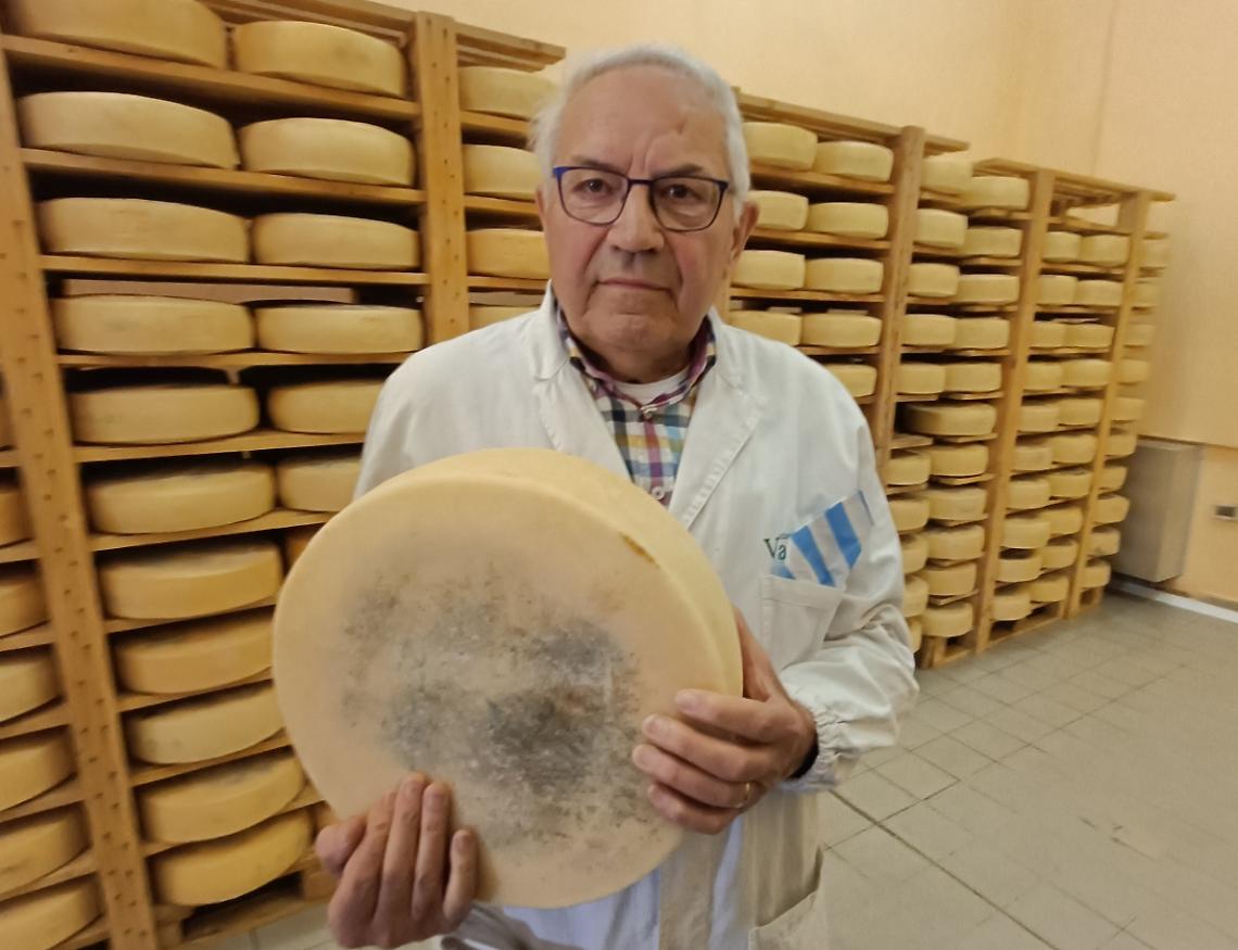 Girolamo Gimo Cunico