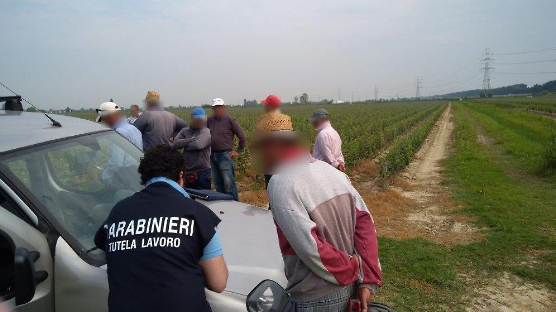 operazione terra promessa carabinieri 02