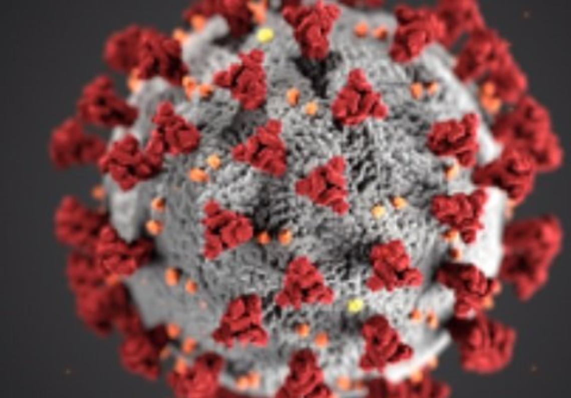 coronavirus