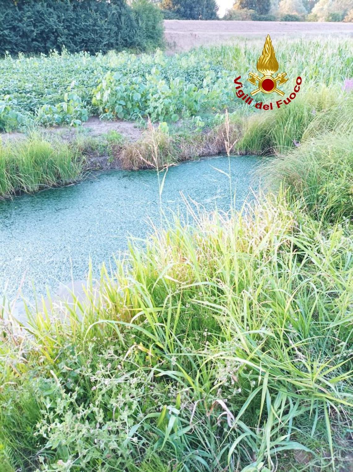 IMG-20220717-WA0003