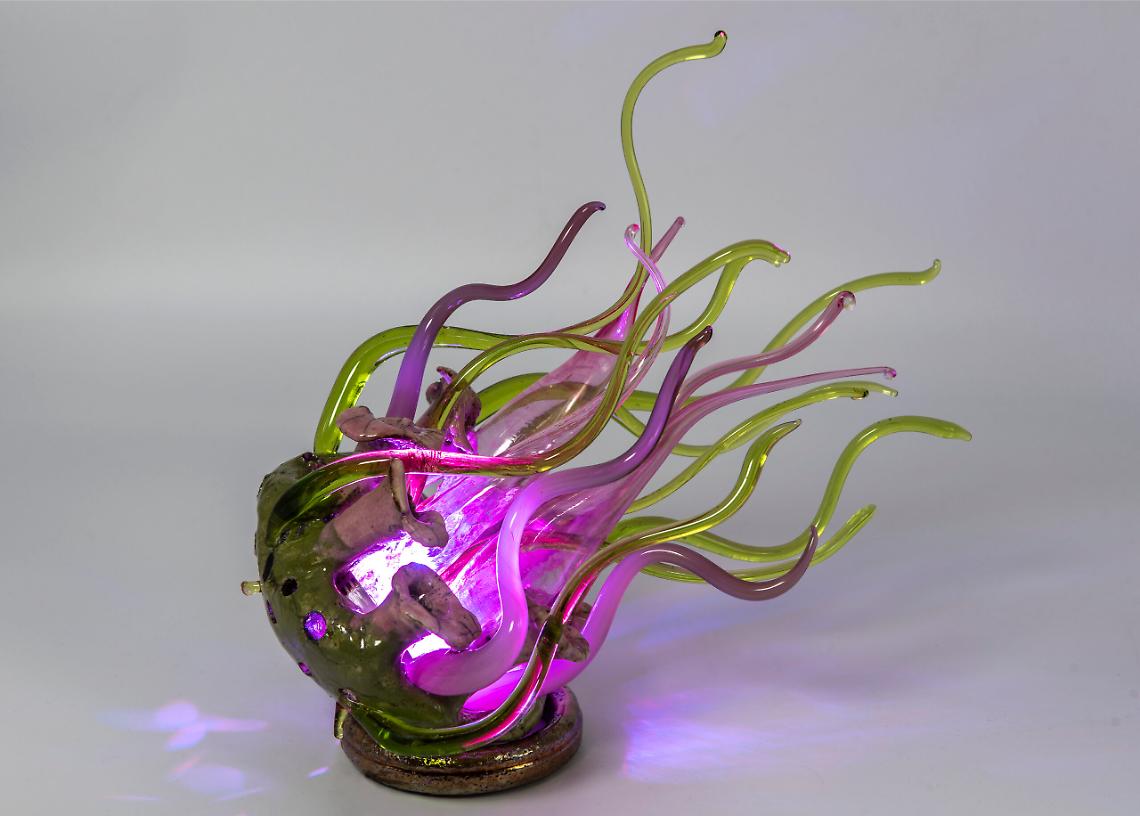 Medusa 43_Reque