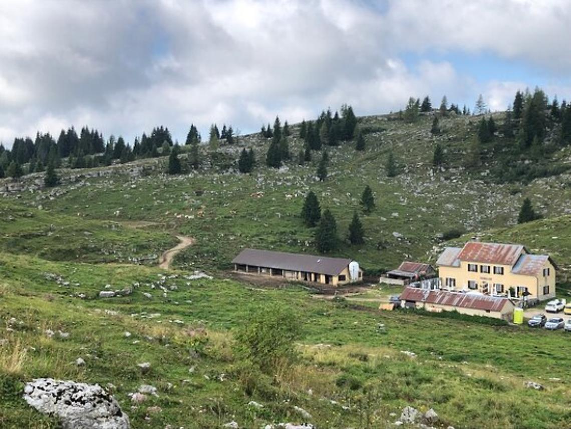 Monte zebio