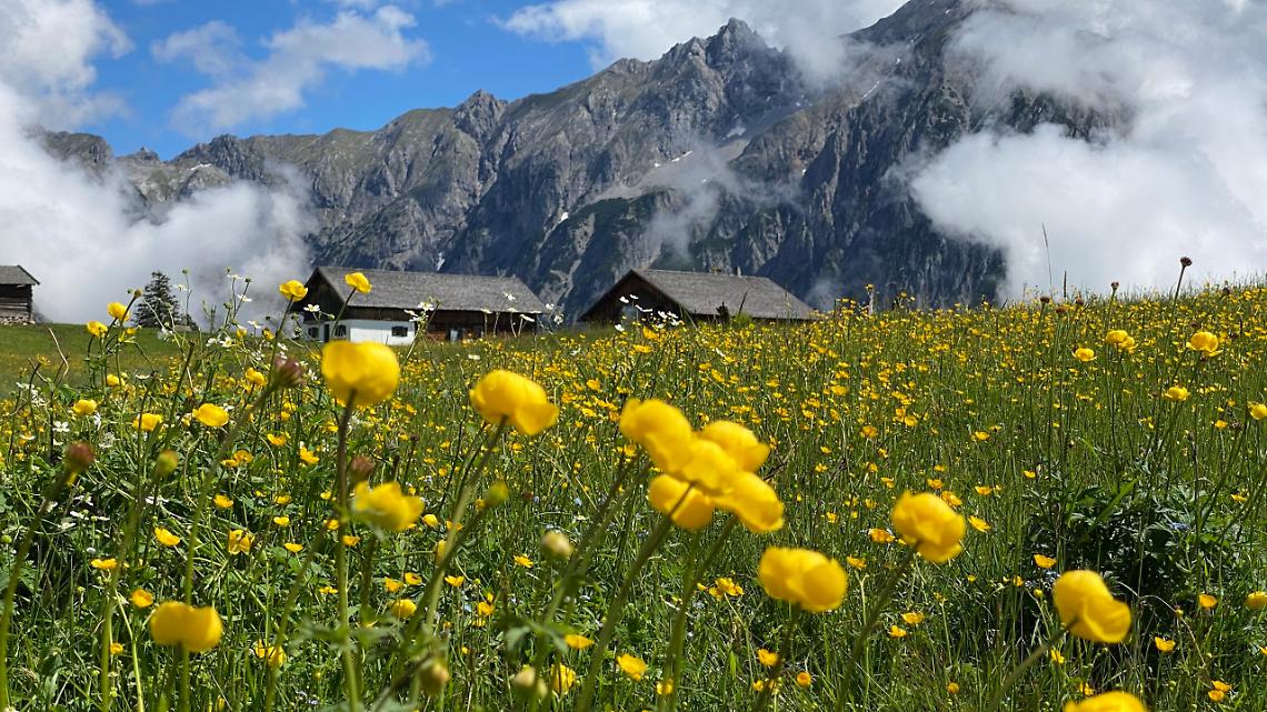 Parco Karwendel