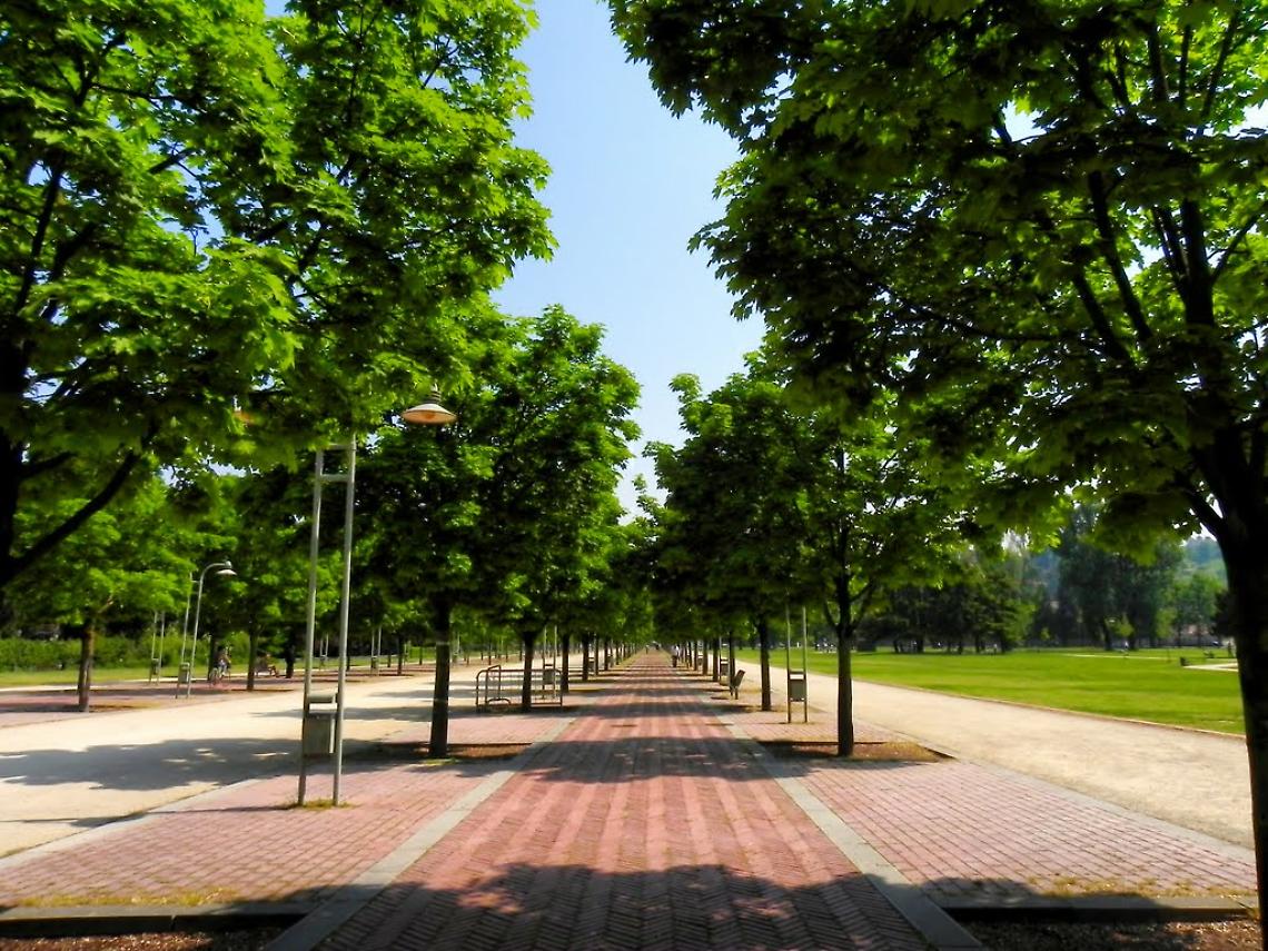Viale Dalmazia