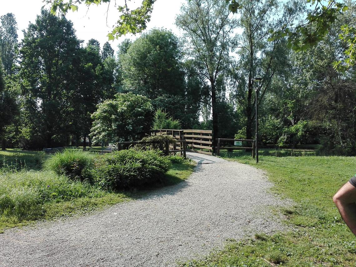 area verde mestre