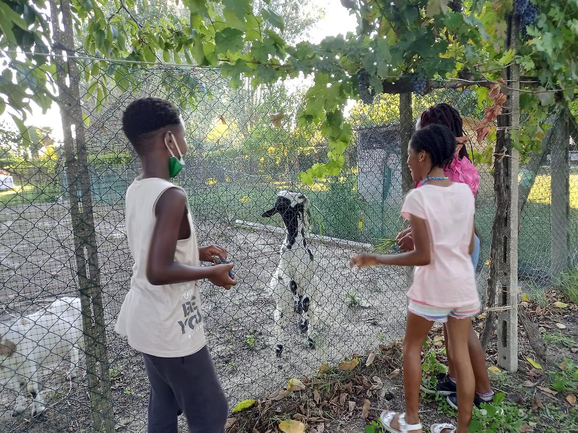 Bambini Cedro Rovigo